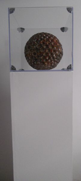 MW 28 (Normale Auflösung)